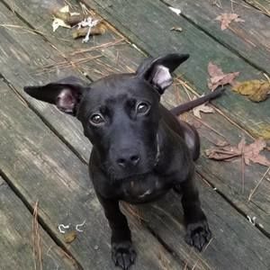 Meet your Posher, Randy